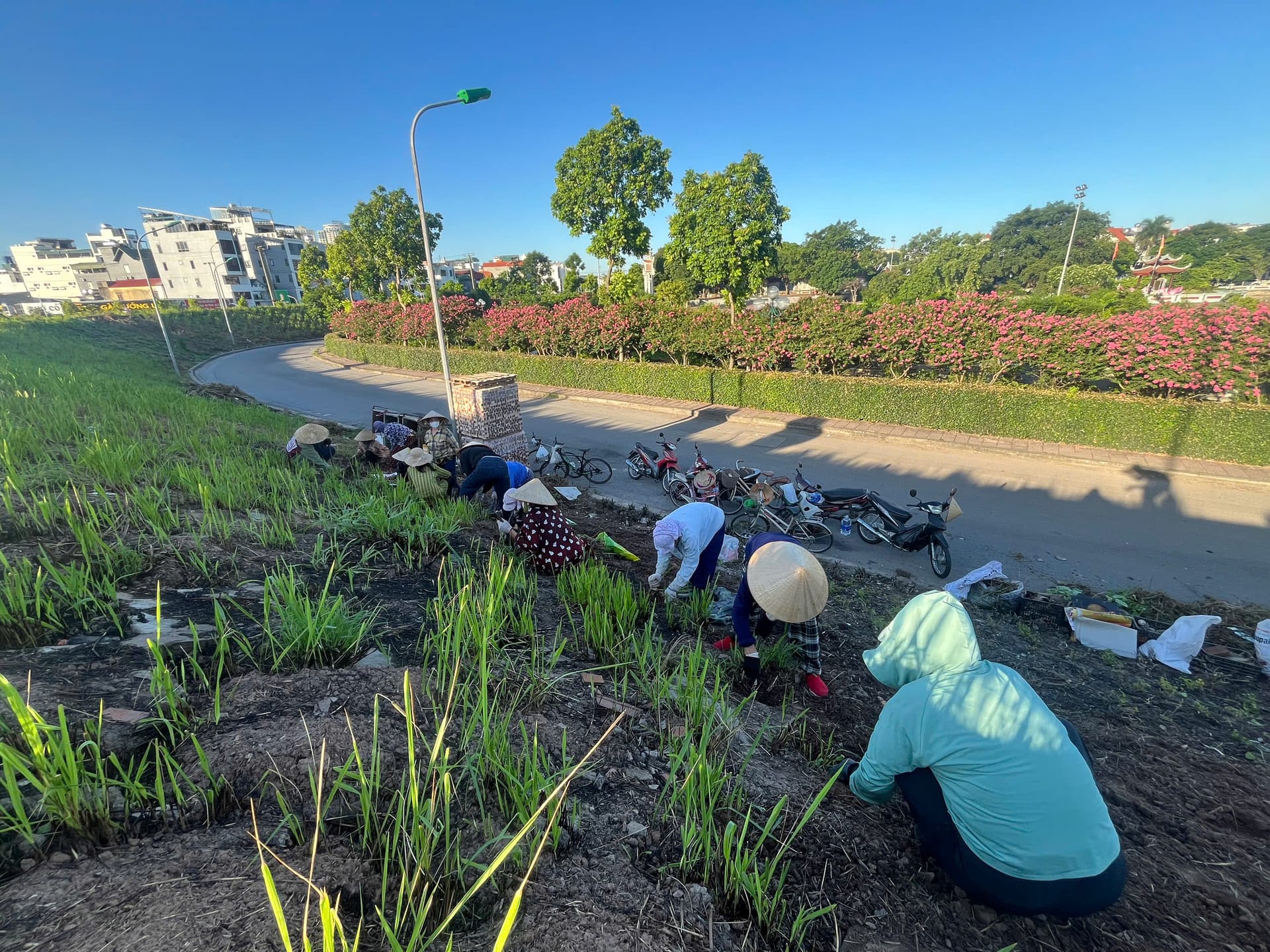 Trống cổ lạc triền đê Bắc Biên — ảnh 2