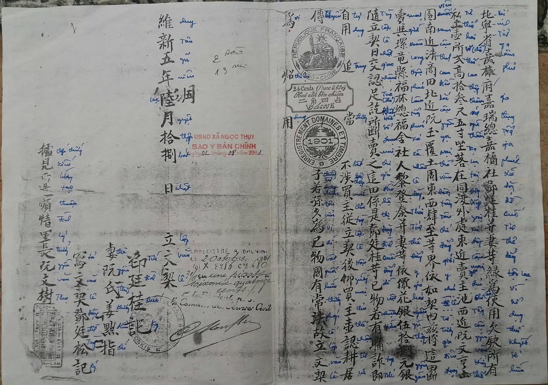 Ảnh 2 từ bài nhúng