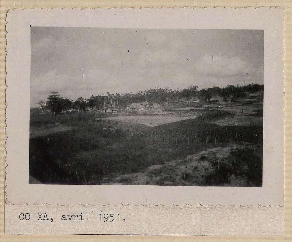 Ảnh 1 từ bài nhúng