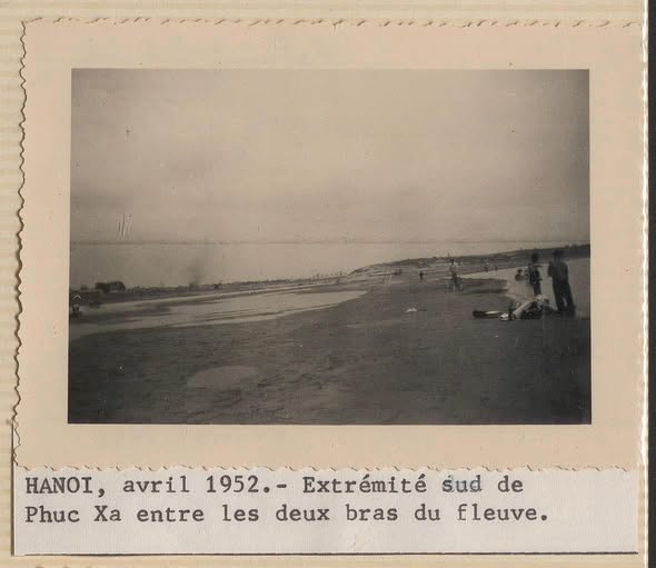 Ảnh 2 từ bài nhúng